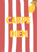 Carpe diem